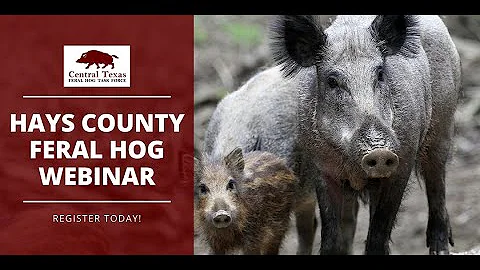 Hays County 2020 Central Texas Feral Hog Task Force Webinar