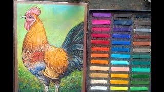 HOW TO DRAW A ROOSTER WITH SOFT PASTEL screenshot 3