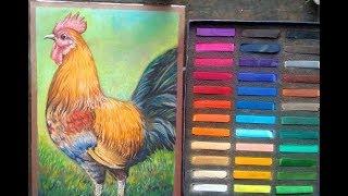 HOW TO DRAW A ROOSTER WITH SOFT PASTEL screenshot 4