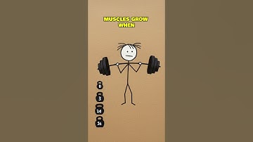 Train Your Brain Like a Muscle #movemind #animation #brainexercises