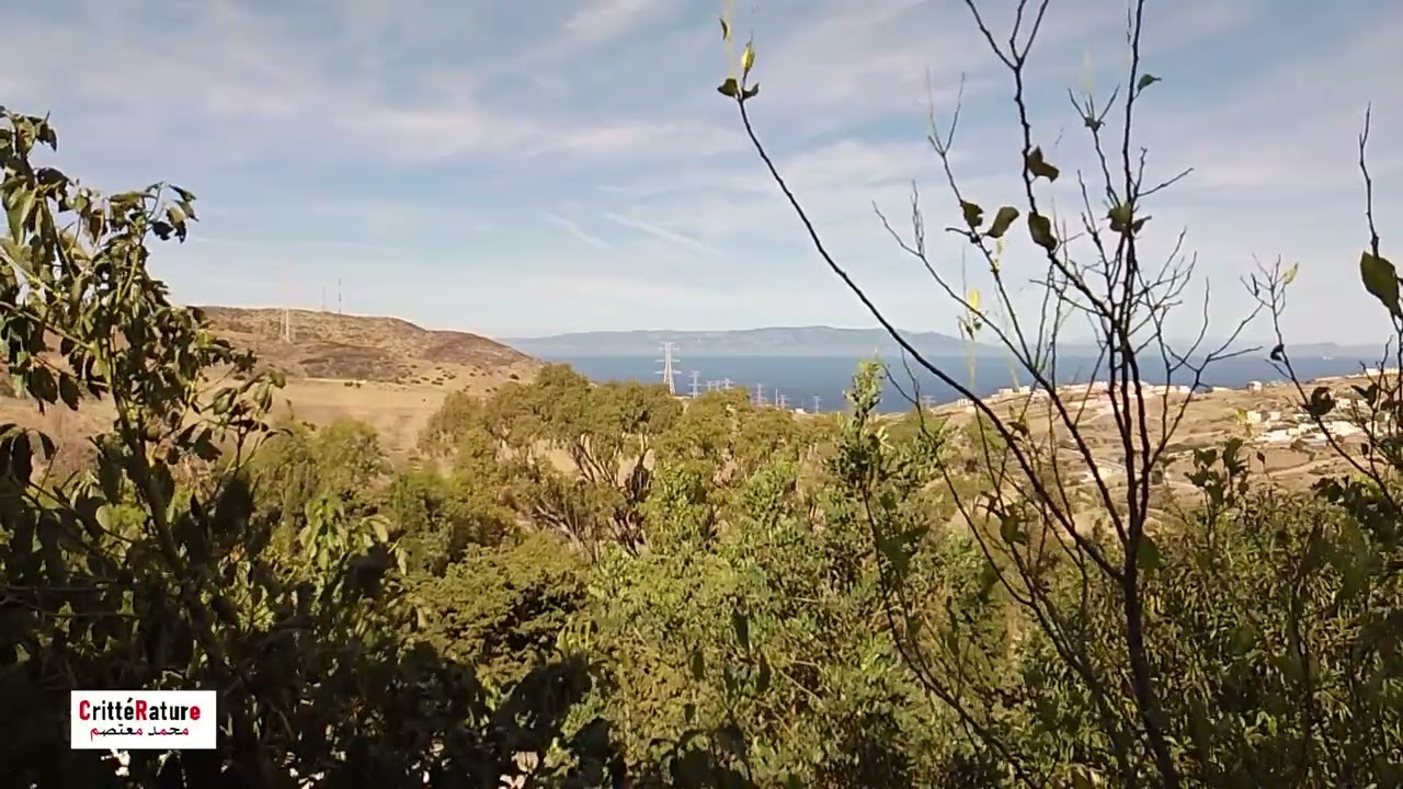 محمد معتصم | الرواية مانجا