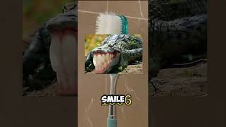 Toothbrush evolution #shorts #memes