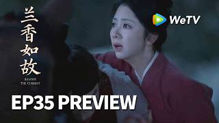 【Preview EP35】《兰香如故》Against The Current｜刘学义、谭松韵