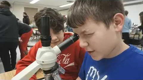 Science Curriculum Update