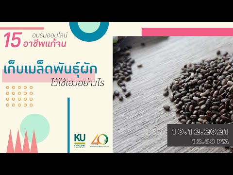 15-อาชีพแก้จน-EP.10-:-เก็บเมล็