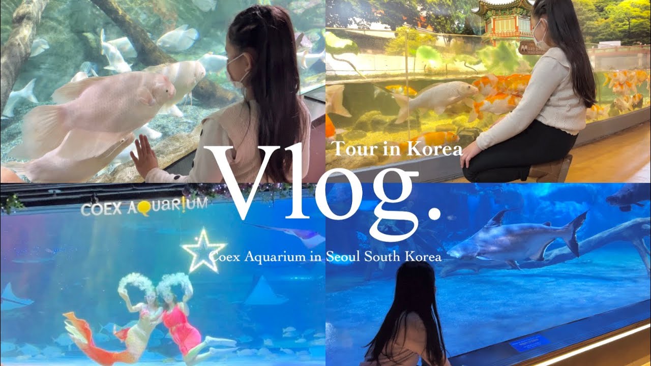 KOREA VLOG🇰🇷 | SEOUL COEX AQUARIUM