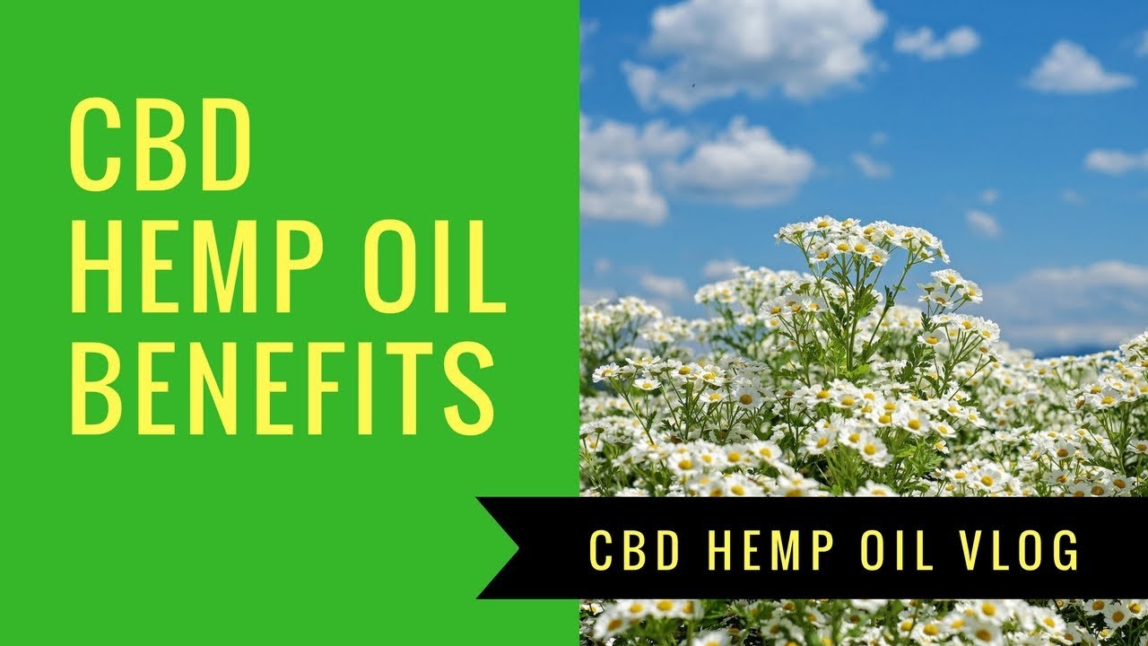 cbd hemp oil for sale - where to buy hemp oil and cbd products