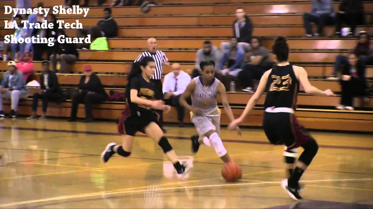 Dynasty Shelby YouTube