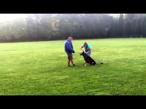 Ruger's first time muzzle fighting