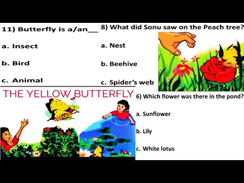 Quiz (Test yourself) THE YELLOW BUTTERFLY / Class 3 / English