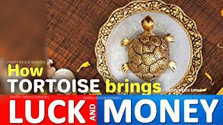 Bring good luck, wealth by placing Tortoise | Right directions to place tortoise | Vastu, Feng shui screenshot 4