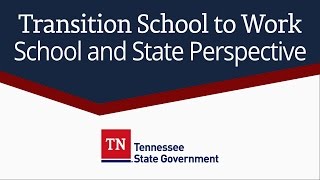 Transition School to Work: School and State Perspective