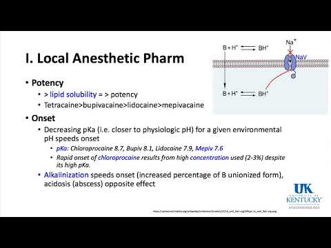 university-of-kentucky-anesthesiology-pharmacology-keyword-review-2018-part-1-of-3---(dr.-schell)