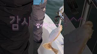 진해 도다리 편대 낚시, 도다리닷!!