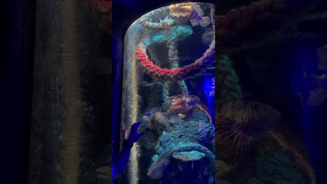 Incredible Water life! 