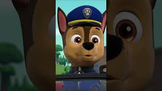 Paw Patrol La Pat Patrouille La Pat Patrouille Rencontre Les Super Chats