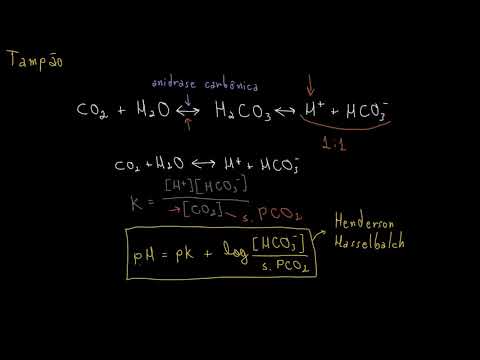 Vídeo: Por que o H no pH é capitalizado?