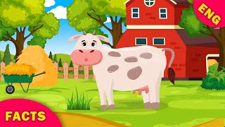 Facts about Farm animals. Farm animals for kids