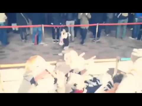 ヤスカズなりの武道館