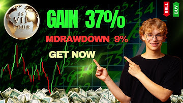 IS VIP Four EA MT4 – High-Profit XAUUSD Trading Robot (37% Monthly Gain)