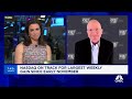 Stock market looks sets up for good year after recent pullbacks says canaccords tony dwyer