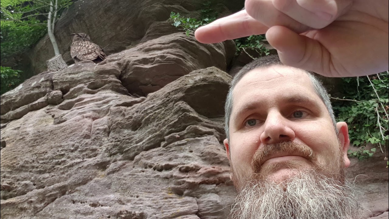 UHU in Wildberg  .Wir werden Erwachsen