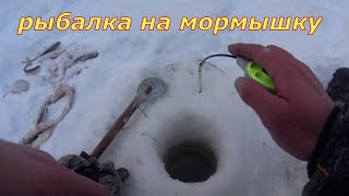 Рыбалка 2024. Крупная сорога на мормышку.