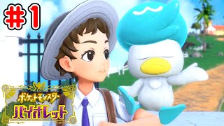 クワッス、キミにきめた【ポケットモンスター・バイオレット】実況 #1