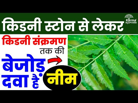 Neem Benefits For Kidney | किडनी स्टोन से लेकर किडनी संक्रमण तक की बेजोड़ दवा नीम #kidneytreatment