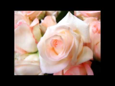 أمي أغلى الناس