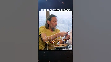 Почему нельзя мять сигару | Лекции с Эркином Тузмухамедовым и Артуром Шиляевым #shorts