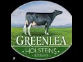 Ref:GfYP2bsntzM Baileys judge explains why he placed the  greenlea  holstein heifers 1st &amp; 2nd. isa &amp; rhapsody