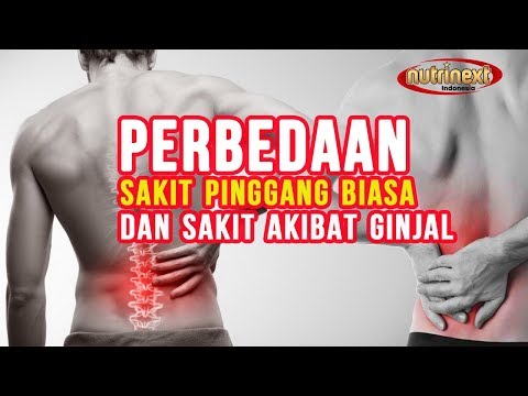 Video: 8 Tanda Dan Gejala Batu Buah Pinggang