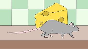 Rat Walk Cycle