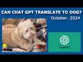 Can ChatGPT Talk to Georgie? | October, 2024