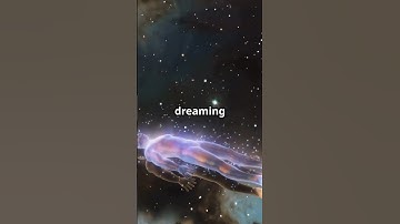 The Bizarre Science of Dreams Explained