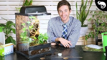 DIY BIOACTIVE ENCLOSURE | Step By Step With Links