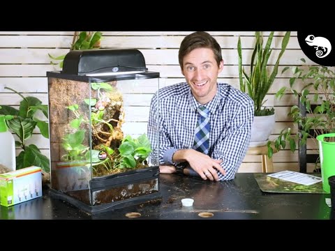 DIY BIOACTIVE ENCLOSURE | Step By Step With Links