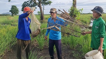 Đặt Dớn Trong Những Ngày Bảo Số 1 Trúng Toàn Rắn Dữ.Góc Làng Quê#596