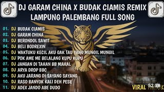 PALEMBANG DJ GARAM CHINA X BUDAK CIAMIS REMIX LAMPUNG PALEMBANG FULL SONG VIRAL TIKTOK TERBARU 2025
