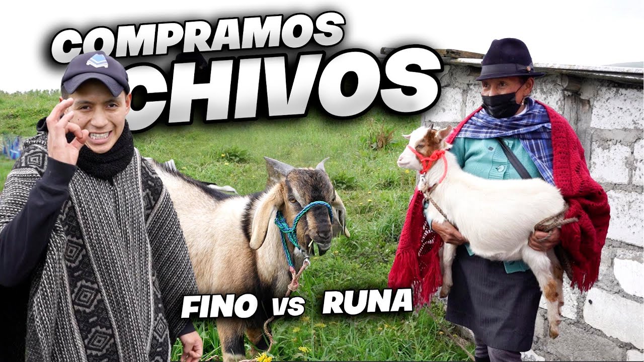 C0MPRÉ EL ANIMAL QUE SIEMPRE QUIZO MI MADRE | John Valverde