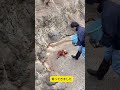 【パンチくん🐵】パパがいない…？焦るパパと、まさかの場所で見つかったパンチくんの絆にほっこり。