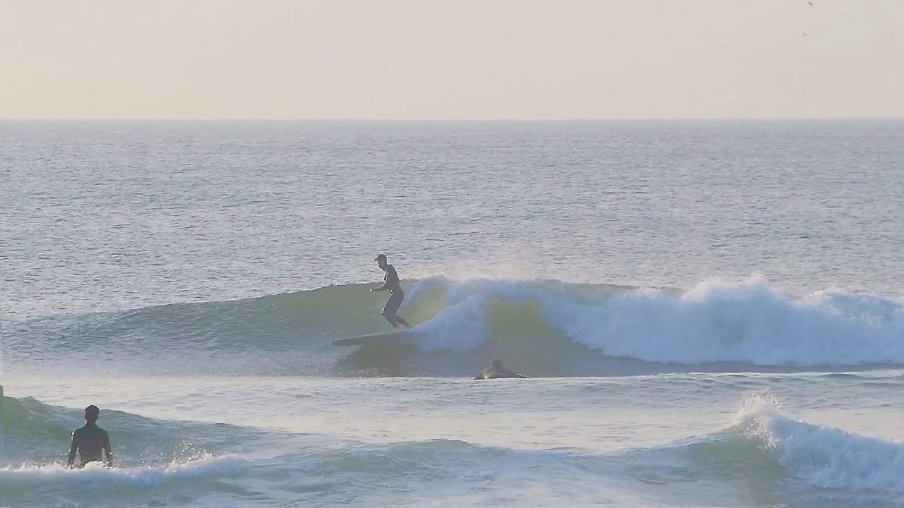 ジムフィリップス Jim Phillips 9'3 PIG ロングボード JIM PHILLIPS ジム フィリップス - ハワイ ワイキキ サーフ