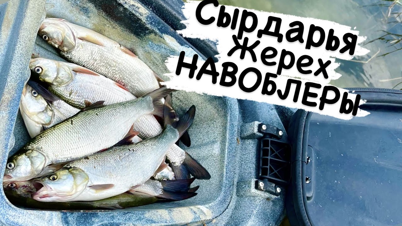 Переменная облачность Рыбалка с Каяка  Дарья