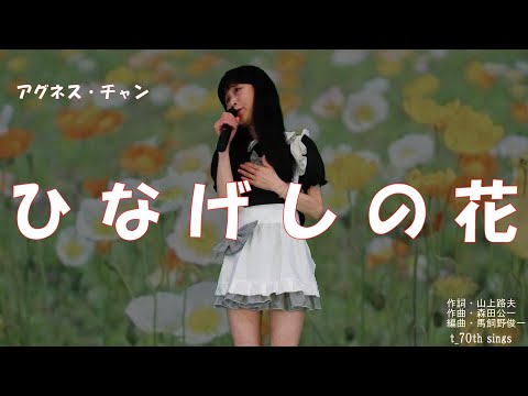 ひなげしの花   アグネス・チャンさん 応援🌺お願いいいたします！🍀t_70th sings 🎶