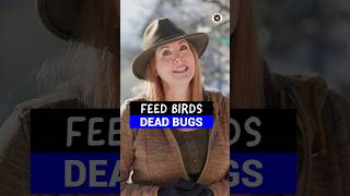 Wild Bird Delight Bugs N Berries – “Yummy!”