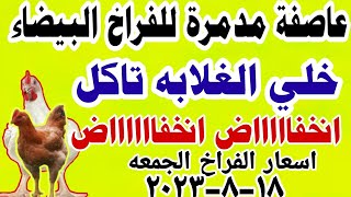 اسعار الفراخ البيضاء اليوم/ سعر الفراخ البيضاء اليوم الجمعه 2023/8/18 في مصر#اسعار_الفراخ_اليوم