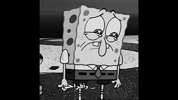 يوما ما سارح وسيرحل معي ضحكتي سبونج بوب 