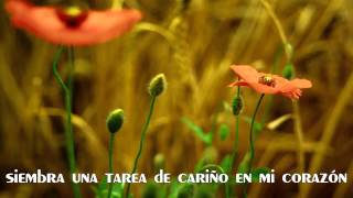Version 2 of the video