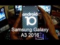 Установил Android 10 на Samsung Galaxy A3 (2016)